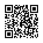 P0250-333T QRCode