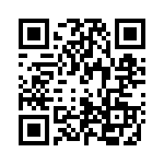 P0399NLT QRCode