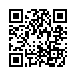 P0595NLT QRCode