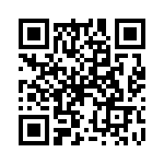 P0640EBLRP1 QRCode