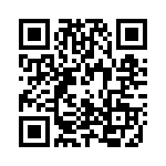 P20R333K1 QRCode