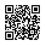 P22-13-3C91 QRCode