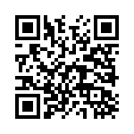 P2956 QRCode