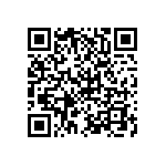 P30P49A13P1-240 QRCode