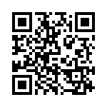 P4KE100-B QRCode