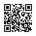 P4KE11 QRCode