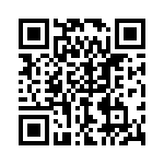 P4KE13-B QRCode