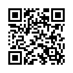 P4KE20-B QRCode