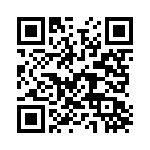 P4KE20 QRCode