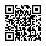 P4KE20A-R1G QRCode