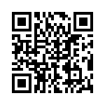 P4KE22C-E3-54 QRCode