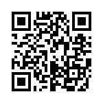 P4KE300-E3-54 QRCode