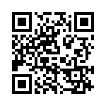 P4KE300C QRCode