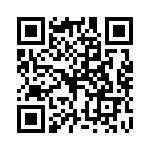 P4KE400A QRCode