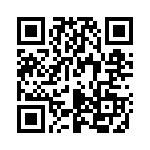 P4KE47A QRCode