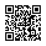 P4KE480A-B QRCode