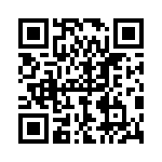 P6KE100A-G QRCode