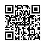 P6KE120A-B QRCode