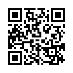 P6KE300AHB0G QRCode