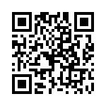 P6KE300CA-B QRCode