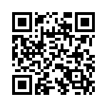 P6KE82CA-B QRCode