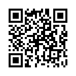 P6KE91 QRCode