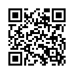 P6SMB58 QRCode