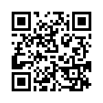 P95020ZDNQG8 QRCode