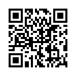 PE-53821SNLT QRCode