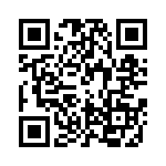 PE-53934NL QRCode