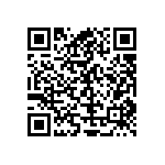 PE1206FRF070R039L QRCode