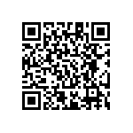 PE1206JRM070R05L QRCode