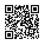 PE280215 QRCode