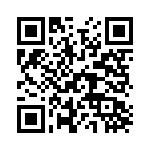 PE993106 QRCode