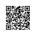 PT0402FR-7W0R333L QRCode