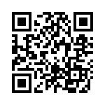 PT11 QRCode