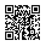 PT333-3B QRCode