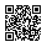 R46KI333040P0M QRCode