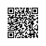 RAA230406GFT-AA0 QRCode