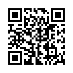 RBM22DCST QRCode