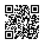 RC55Y-33K2BI QRCode