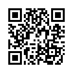 RCC22DETI QRCode