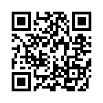 RCJ-61343434 QRCode