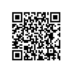 RE0402BRE0717K4L QRCode