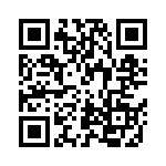 RER45F95R3RCSL QRCode