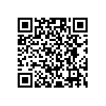 RG1005P-2941-B-T5 QRCode