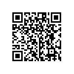 RG1005P-333-B-T1 QRCode