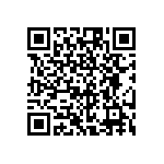 RG1005P-912-B-T1 QRCode