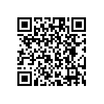 RG1005V-242-P-T1 QRCode