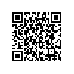 RG1608N-163-D-T5 QRCode